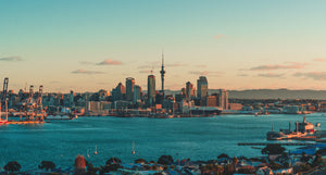 How I Started My Passion for Home Decor in Auckland New Zealand